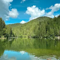 Spokojne jezioro w rumuńskich górach, otoczone gęstym lasem iglastym. Woda odbija niebo z białymi chmurami.