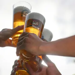 Hände stoßen mit Biergläsern an, ein Moment der Freude bei Bier Events.