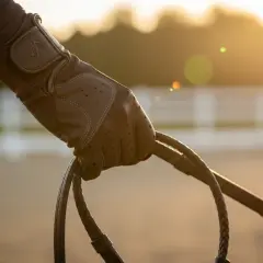 Rękawiczki jeździeckie Decathlon – idealne modele dla każdego jeźdźca