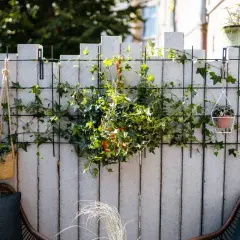 Grüne Ranken bedecken eine graue Beton-Gartenmauer, die mit einem Gitter und Hängekörben verschönert wurde. So lässt sich eine triste Gartenmauer verkleiden.