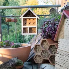 Mehrere Insektenhotels und ein bienenfreundlicher Topf mit Pflanzen. Ein perfektes wildbienen nest für kleine Krabbler.