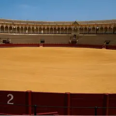Arena vacía de una de las plazas de primera en España, con gradas y el ruedo de arena dorada bajo un cielo azul.