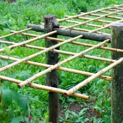 Ein selbstgebautes Rankgitter aus Bambusstäben, ideal zum Himbeeren pflanzen und für eine reiche Ernte.
