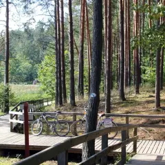 Dwie rowerzystki odpoczywają na drewnianej kładce wśród sosnowego lasu, idealnej na **trasy rowerowe Roztocze**.