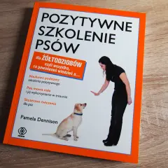 Szkolenie dorosłego psa: Praktyczny przewodnik po pozytywnych metodach