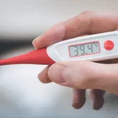 Dłoń trzyma termometr cyfrowy pokazujący 39.4°C. To może oznaczać gorączkę u psa, który potrzebuje pomocy weterynarza.
