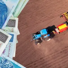 Pieniądze i niebieski traktor z siewnikiem na polu. Czy to symbolika podatku rolnego i jego wpływu na rolnictwo?