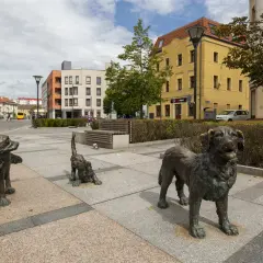 Trzy psie rzeźby na chodniku miejskim. Jeden piesek wita, drugi bawi się, a trzeci stoi dumny.