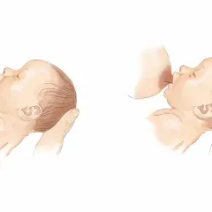 Illustrazioni che mostrano come allattare al seno, con un neonato che si attacca al seno materno.