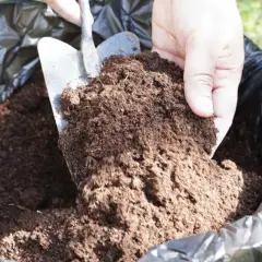 Łopatka z ziemią w czarnym worku. Czy kompostownik powinien mieć dno? To pytanie zadaje sobie wielu ogrodników.