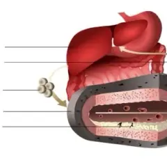 Jak obliczyć cholesterol resztkowy i zrozumieć jego znaczenie dla zdrowia