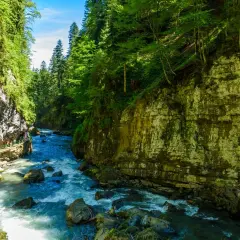 Wilder Fluss schlängelt sich durch eine Schlucht mit steilen Felswänden und üppigem Grün. Ein Holzsteg führt entlang des Wassers. Ein wahres Naturwunder Deutschlands.