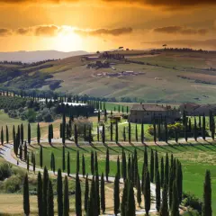 Colline toscane al tramonto, con cipressi che fiancheggiano una strada tortuosa. Un paesaggio da cartolina, un invito a scoprire cosa vedere ad Asciano.