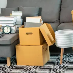 Umzugskartons, Bücher und Spielzeug auf einem Sofa. Ein privater Umzug steuerlich absetzen ohne Belege ist oft schwierig, aber diese Szene zeigt den Beginn des Packens.