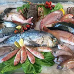Un banco di pesce fresco su ghiaccio: aragoste, orate, triglie e un magnifico pesce azzurro al centro.