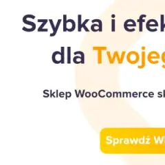 Jak stworzyć sklep internetowy na WordPress bez zbędnych kosztów