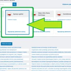 Jak złożyć oświadczenie do PGE przez ePUAP - uniknij problemów z formularzem