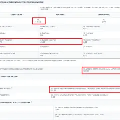 Fragment formularza ZUS z zaznaczonymi polami dotyczącymi składek i podstawy wymiaru.