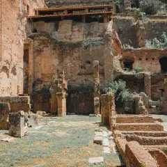 Rovine antiche nel foro romano palatino, con mattoni rossi e vegetazione che cresce tra le pietre.