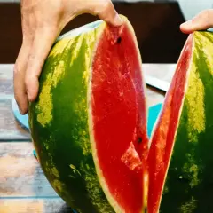 Hände teilen eine saftige Wassermelone. Ist Wassermelone gesund? Ja, sie ist voller Wasser und Vitamine!