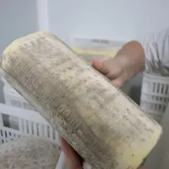 Un queso pata de mulo artesanal, listo para ser degustado. Su corteza rústica y su interior cremoso invitan a descubrir su sabor.