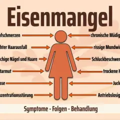 Eisenmangel kann zu Kopfschmerzen, Müdigkeit, Haarausfall und trockener Haut führen. Die Grafik zeigt Symptome wie Blutarmut und Konzentrationsstörungen.