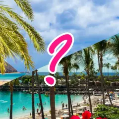 Traumstrände mit Palmen: Teneriffa oder Gran Canaria? Ein Fragezeichen trennt die sonnigen Ansichten.