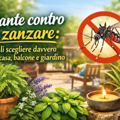 Piante contro le zanzare: lavanda, basilico e rosmarino per un giardino senza insetti.