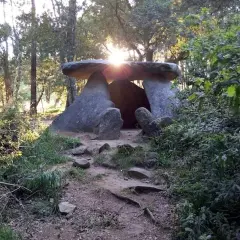Kamienny krąg, zwany diabelskim kamieniem, w lesie. Słońce przebija się przez drzewa, oświetlając monumentalne głazy.