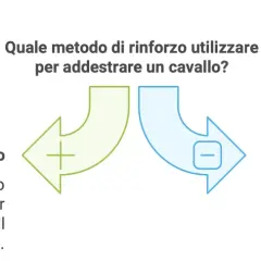 Diagramma che illustra rinforzo positivo (premio) e negativo (rimozione pressione) per addestrare un cavallo.