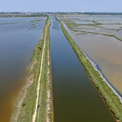 Un sentiero serpeggia lungo l'argine degli angeli, dividendo acque scure e chiare in una laguna.