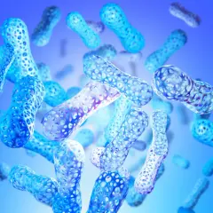 Forme blu traslucide, simili a bastoncini, con texture a nido d'ape, fluttuano in uno spazio blu. Rappresentano enzimi digestivi naturali.