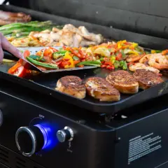 Plancha grill – jak wybrać najlepszy model i uniknąć błędów