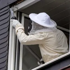 Persona con traje de apicultor usa aspiradora para como quitar un avispero en casa, cerca de una ventana.