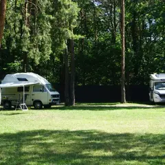 Dwa kampery zaparkowane na trawie w lesie, jakby zatrzymały się na chwilę przed dalszą podróżą, może w poszukiwaniu malowniczego przełomu rzecznego.