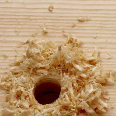 Sciure de bois autour d'un trou fraîchement percé dans une planche de pin. Il faudra reboucher ce trou bois pour repercer ailleurs.
