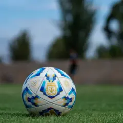 Piłka nożna z herbem Argentyny na trawie, w tle niewyraźne sylwetki graczy.