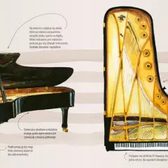 Instrumenty muzyki elektronicznej: Jak wybrać? Przewodnik eksperta