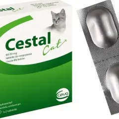 Jak skutecznie odrobaczyć kota - najlepsze metody i preparaty