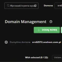 Jak przenieść domenę na nowy serwer bez problemów i przestojów