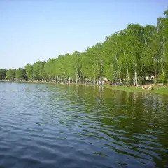 Jezioro Zagłębocze oferuje liczne atrakcje: plażowanie, relaks pod drzewami i zabawy na placu zabaw.