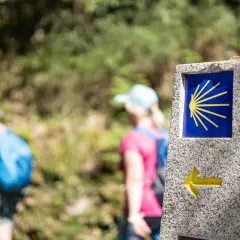 Pilgrimer på Santiago de Compostela vandring följer den ikoniska snäckan.