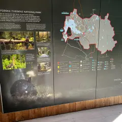 Utforska Tivedens nationalpark: vandringsleder genom djupa sprickdalar, lavklädda hällar, gamla tallskogar, myrar och tjärnar.