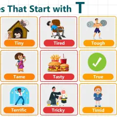 Aggettivi con la T: Tall, Tiny, Tired, Tough, Thick, Thin, Tame, Tasty, True, Tender, Terrible, Terrific, Tricky, Timid, Toasty.