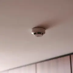 Ein weißer Rauchmelder an der Decke. Sein Alter feststellen ist wichtig für die Sicherheit.