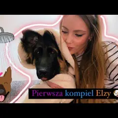 Jak wykąpać owczarka niemieckiego? Praktyczny przewodnik krok po kroku