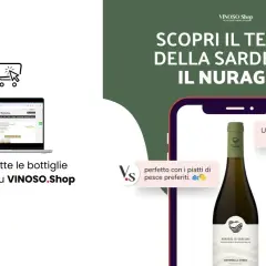 Scopri il tesoro della Sardegna: il Nuragus di Cagliari, un vino bianco fresco e leggero, perfetto con il pesce. Acquista su VINOSO.Shop.