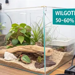 Szklane terrarium z roślinnością i drewnem, idealne do hodowli węża zbożowego. Termometr wskazuje wilgotność 50-60%.
