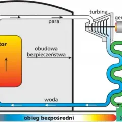 Jak działa elektrownia atomowa? Wyjaśniamy krok po kroku