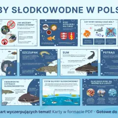 Ilustracja przedstawia różnorodne ryby słodkowodne w Polsce, ich cechy, znaczenie w kulturze i przyrodzie.